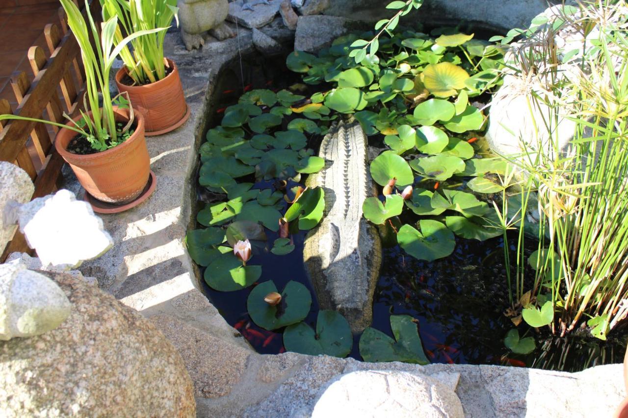 Apartamentos Os Cerros 波多诺伏 外观 照片